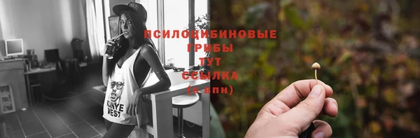 spice Абаза